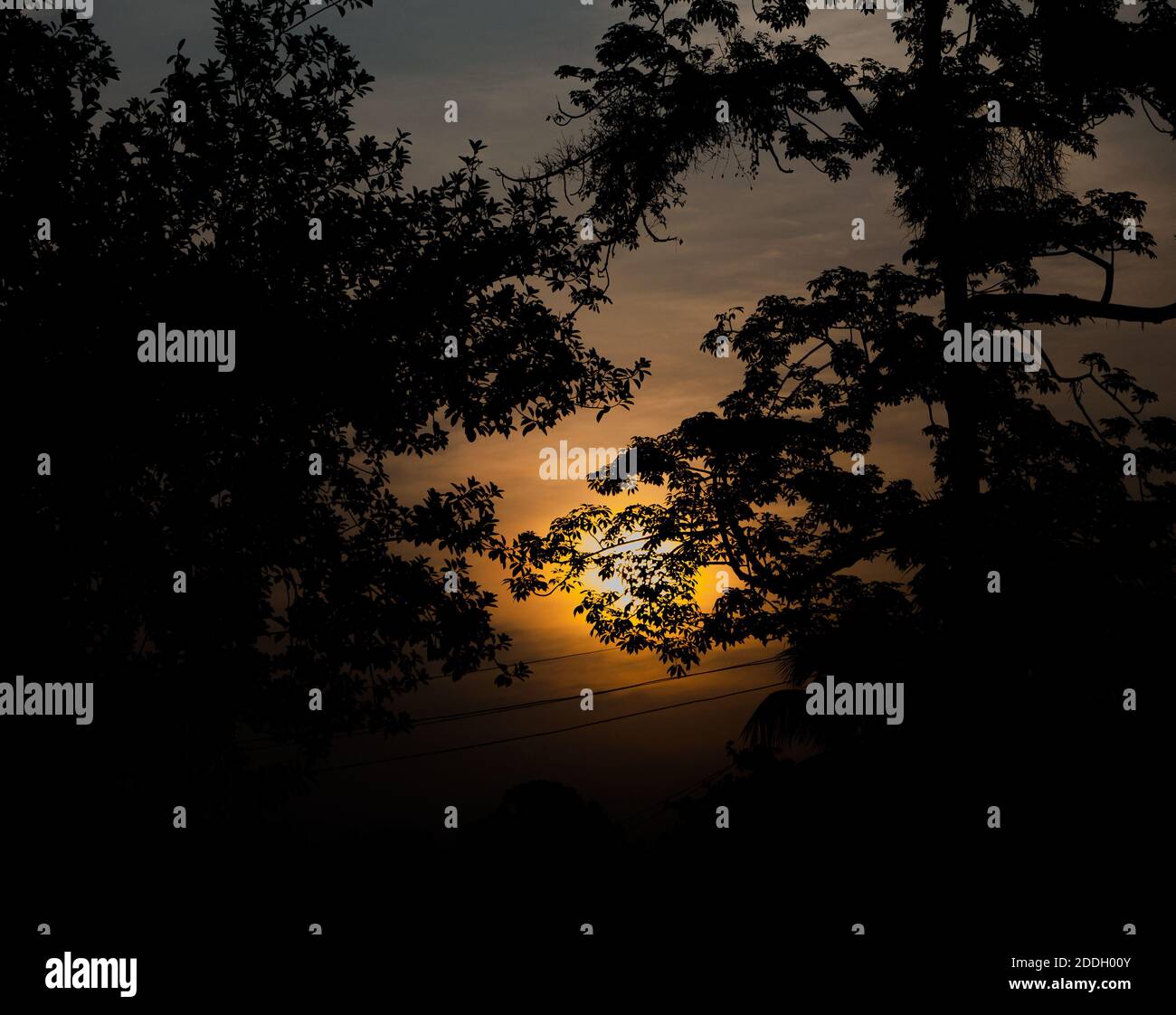 Le montagne della foresta pluviale Evergreen catturate durante una mattinata in anticipo al Kaziranga National Park, Assam, Nord-est, India. Foto Stock