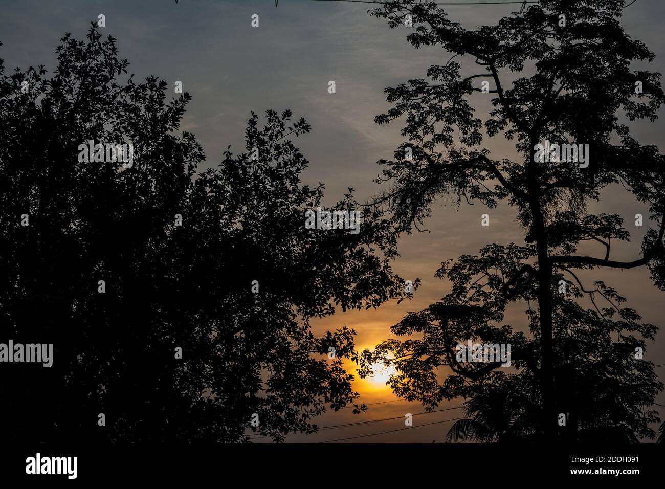 Le montagne della foresta pluviale Evergreen catturate durante una mattinata in anticipo al Kaziranga National Park, Assam, Nord-est, India. Foto Stock