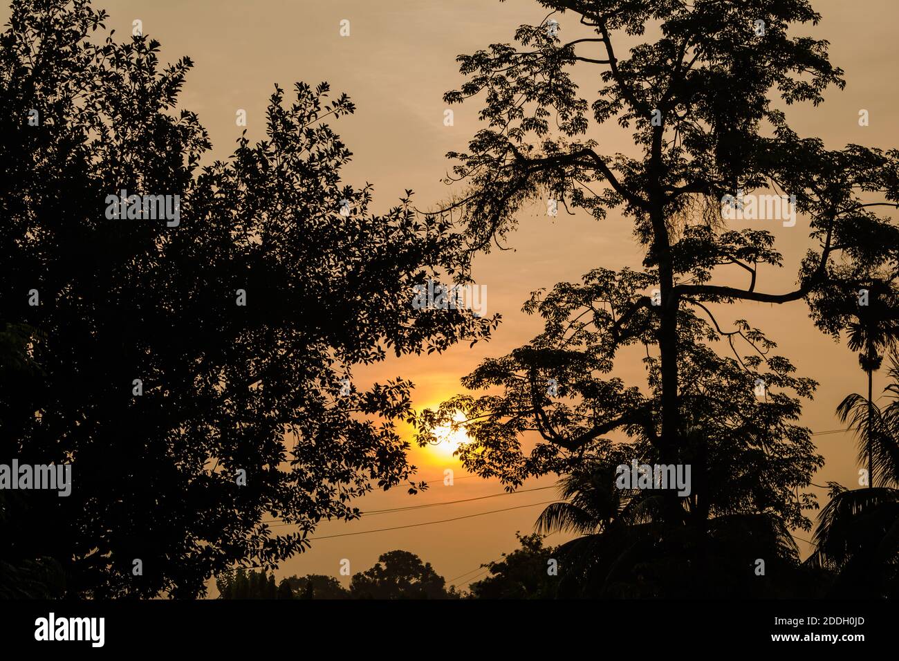 Le montagne della foresta pluviale Evergreen catturate durante una mattinata in anticipo al Kaziranga National Park, Assam, Nord-est, India. Foto Stock
