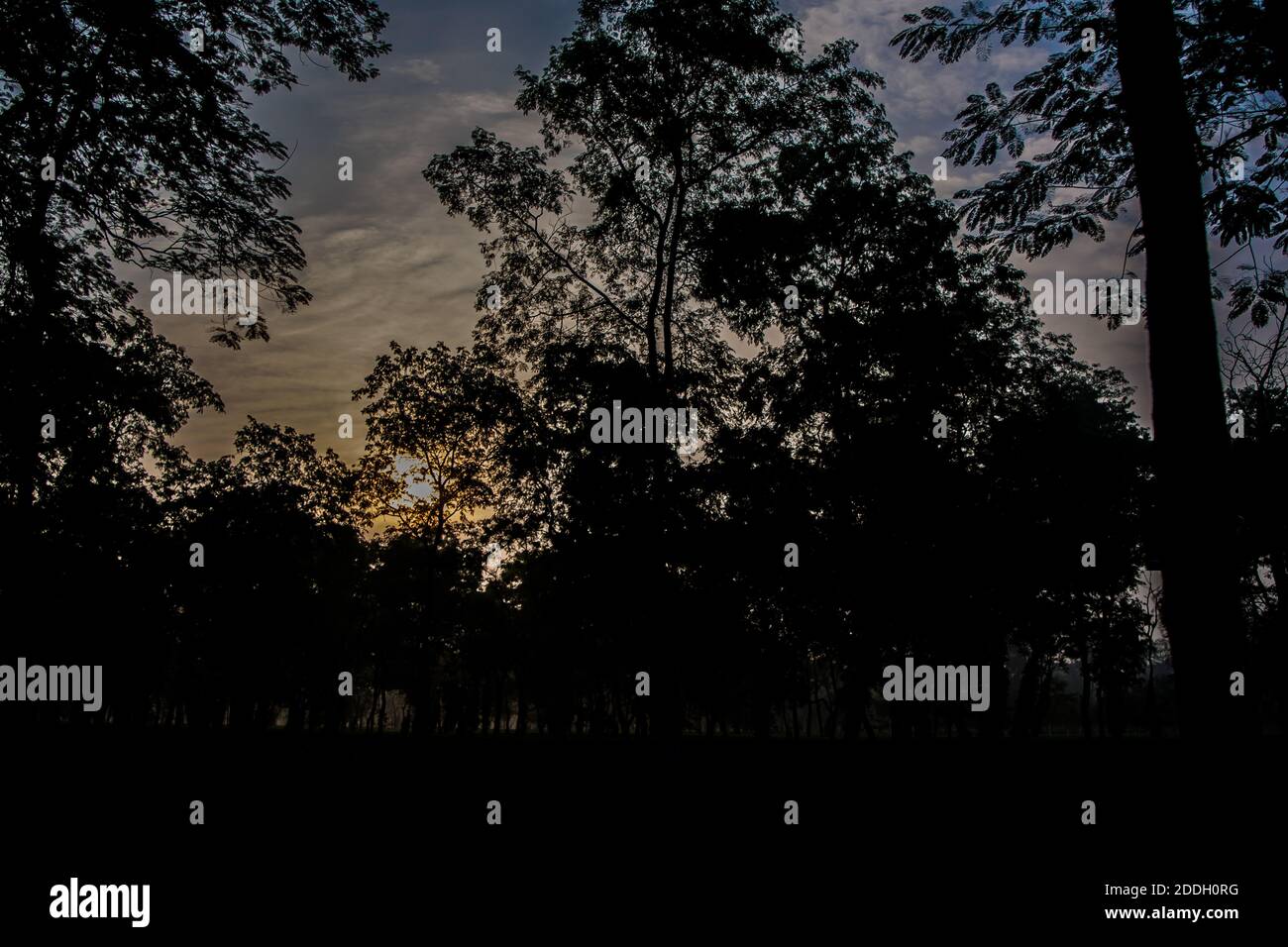 Le montagne della foresta pluviale Evergreen catturate durante una mattinata in anticipo al Kaziranga National Park, Assam, Nord-est, India. Foto Stock