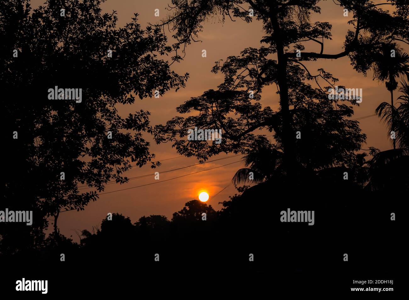 Le montagne della foresta pluviale Evergreen catturate durante una mattinata in anticipo al Kaziranga National Park, Assam, Nord-est, India. Foto Stock
