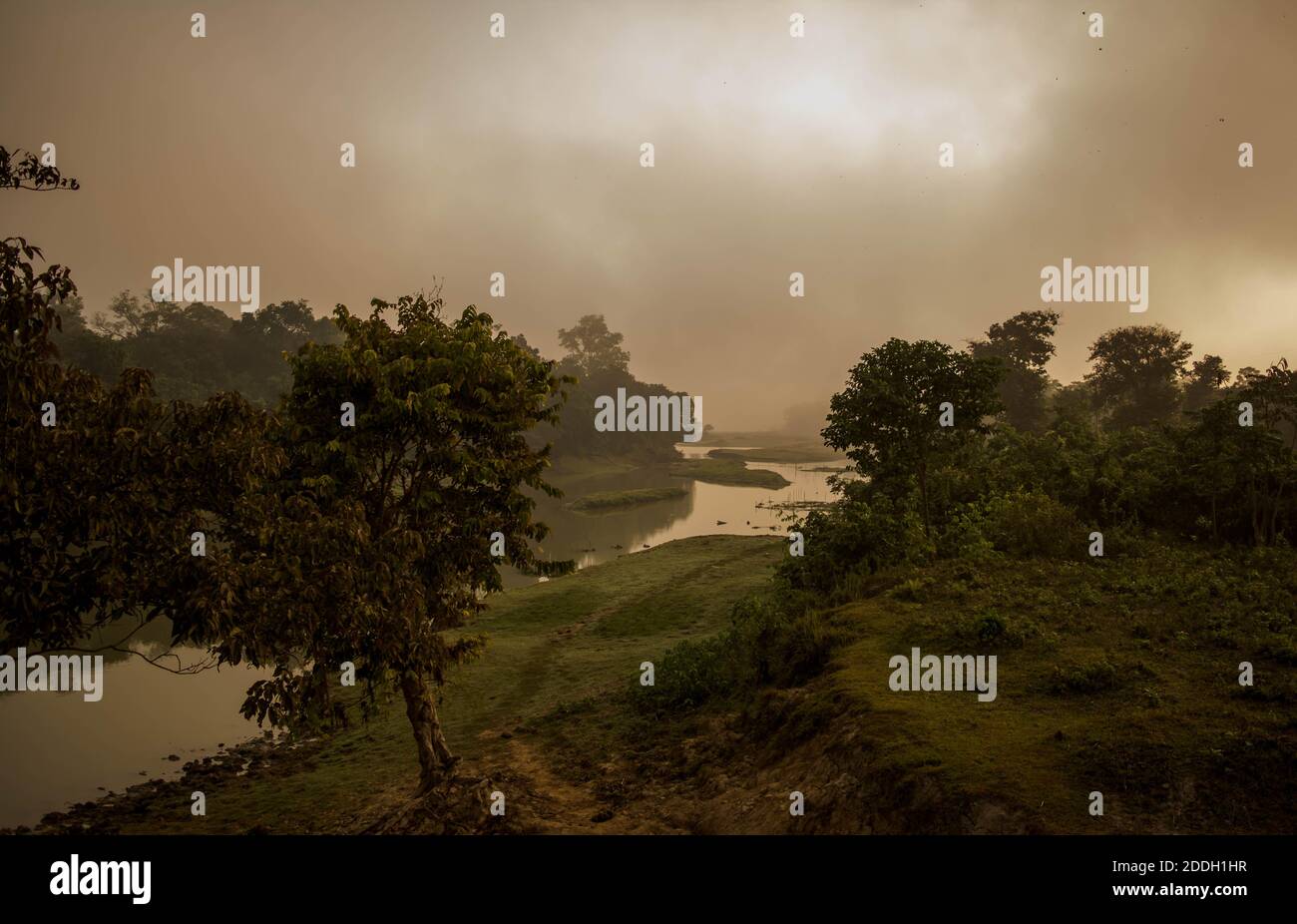Le montagne della foresta pluviale Evergreen catturate durante una mattinata in anticipo al Kaziranga National Park, Assam, Nord-est, India. Foto Stock