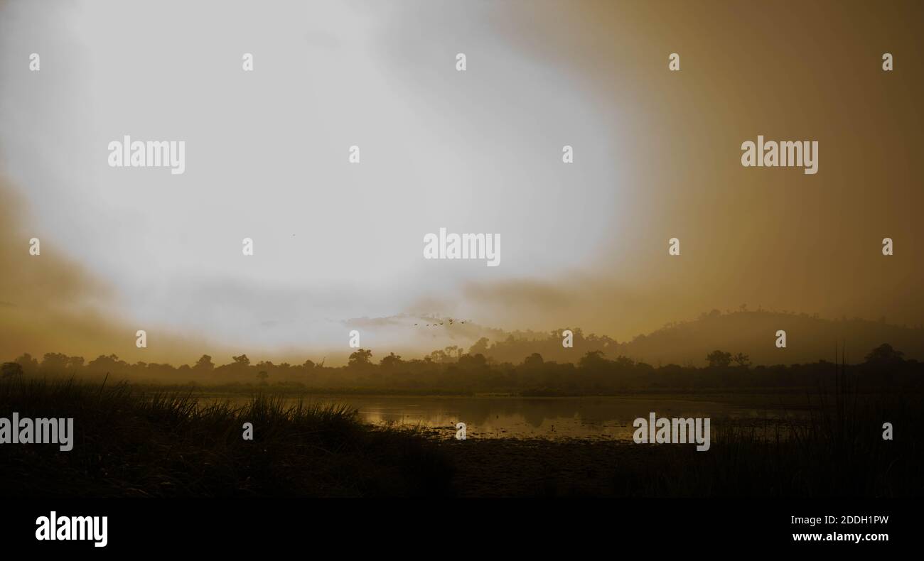 Le montagne della foresta pluviale Evergreen catturate durante una mattinata in anticipo al Kaziranga National Park, Assam, Nord-est, India. Foto Stock
