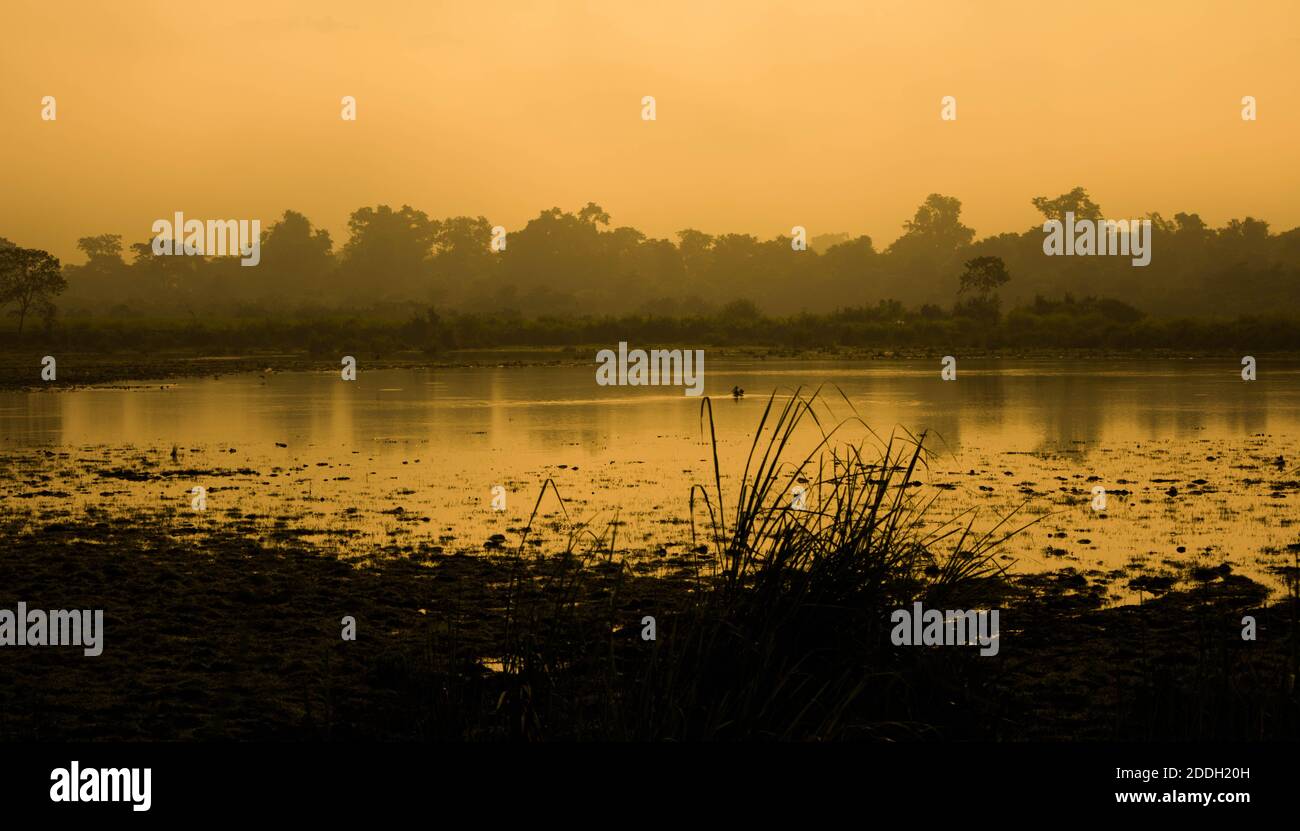 Le montagne della foresta pluviale Evergreen catturate durante una mattinata in anticipo al Kaziranga National Park, Assam, Nord-est, India. Foto Stock