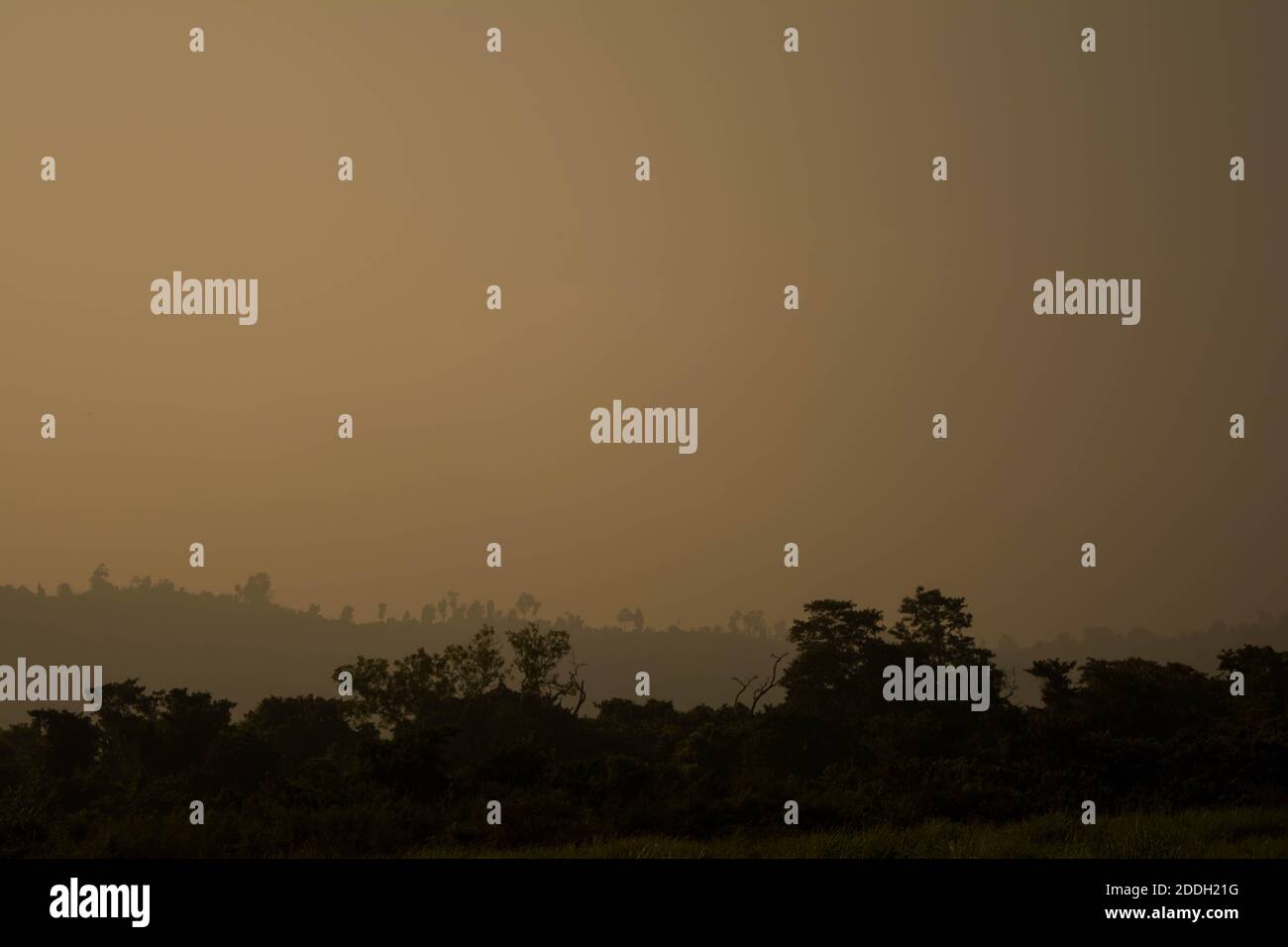 Le montagne della foresta pluviale Evergreen catturate durante una mattinata in anticipo al Kaziranga National Park, Assam, Nord-est, India. Foto Stock