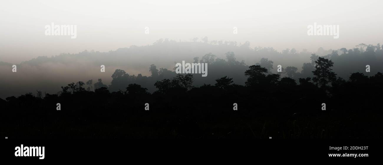 Le montagne della foresta pluviale Evergreen catturate durante una mattinata in anticipo al Kaziranga National Park, Assam, Nord-est, India. Foto Stock