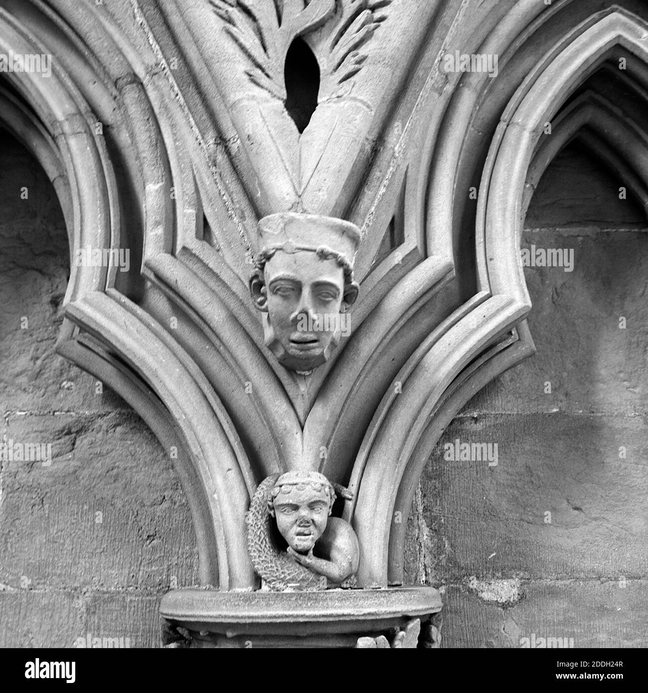 Xiii secolo sculture in pietra intorno le sedi nella Chapter House di Southwell Minster, Nottinghamshire Foto Stock