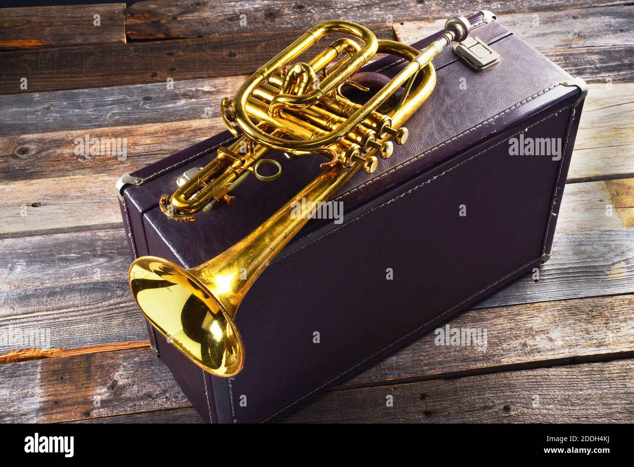 Vecchia tromba in ottone con custodia in pelle da viaggio. Foto Stock