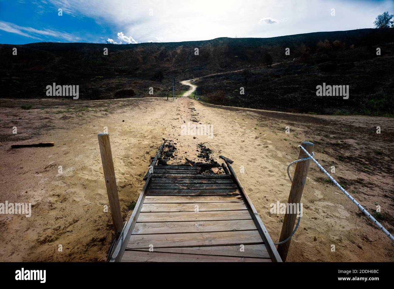 Riserva naturale di Punta Penne, vasto, Abruzzo, Italia: La piattaforma in legno e la collina della riserva dopo l'incendio del 2020 agosto Foto Stock