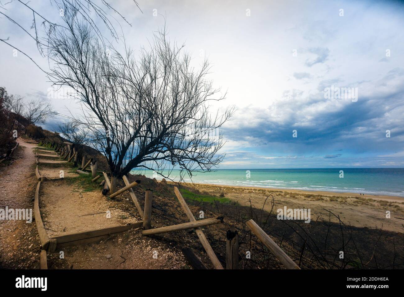 Riserva naturale di Punta Penne, vasto, Abruzzo, Italia: Il parapetto di scale in legno bruciato nella riserva dopo l'incendio dell'agosto 2020 Foto Stock