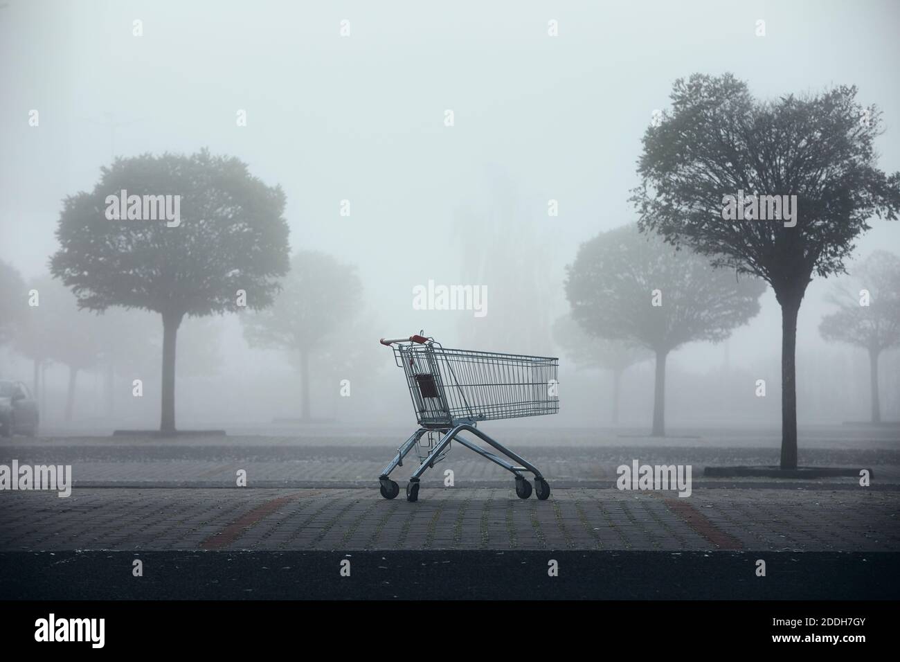 Carrello abbandonato sul parcheggio in nebbia fitta. Temi shopping, crisi finanziaria e clima cupo. Foto Stock