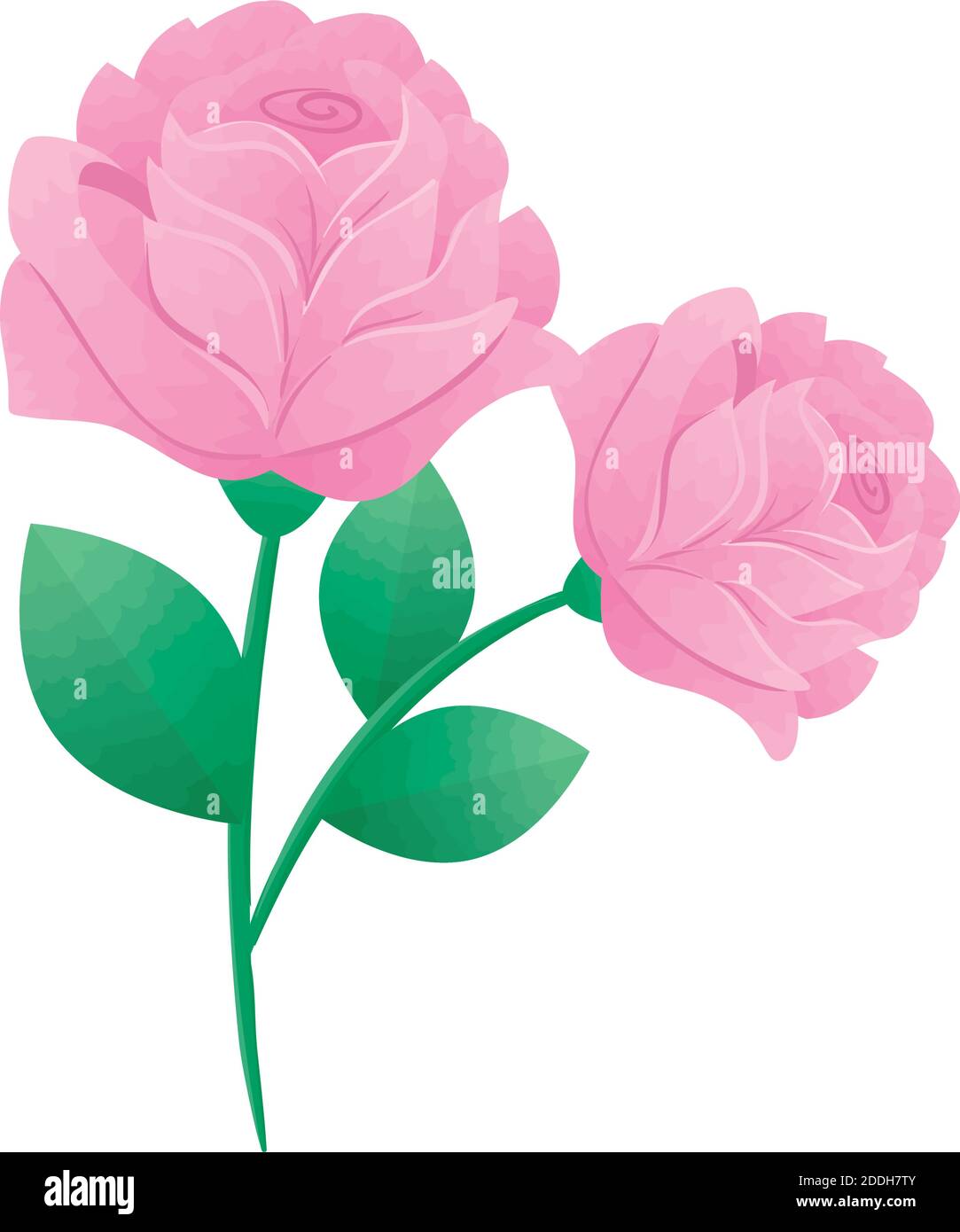 belle rose fiori rosa e fronde verdi icone decorative Illustrazione Vettoriale