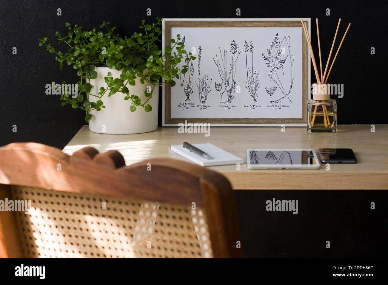 I raggi del sole del mattino cadono su una tranquilla scrivania dell'ufficio domestico. Lo spazio favorisce la produttività in un ambiente calmante. Foto Stock