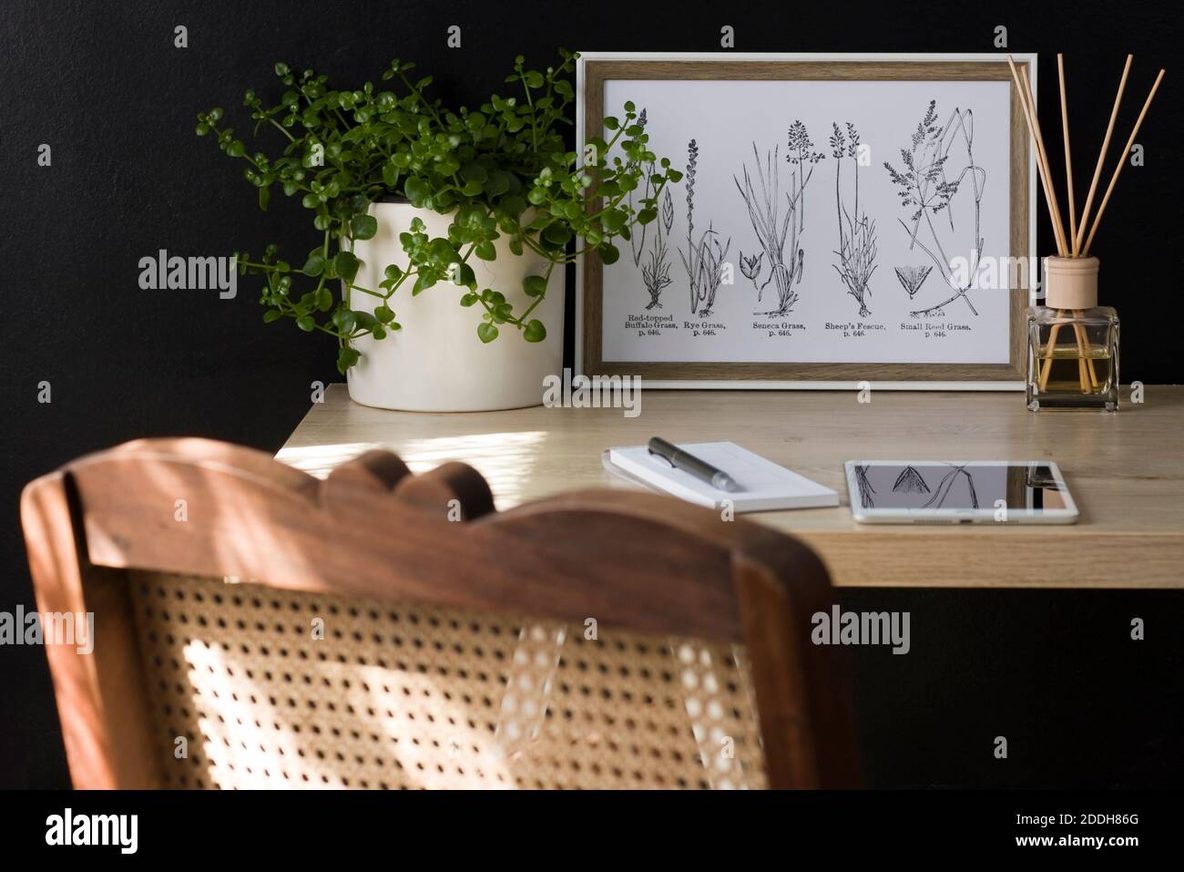 I raggi del sole del mattino cadono su una tranquilla scrivania dell'ufficio domestico. Lo spazio favorisce la produttività in un ambiente calmante. Foto Stock