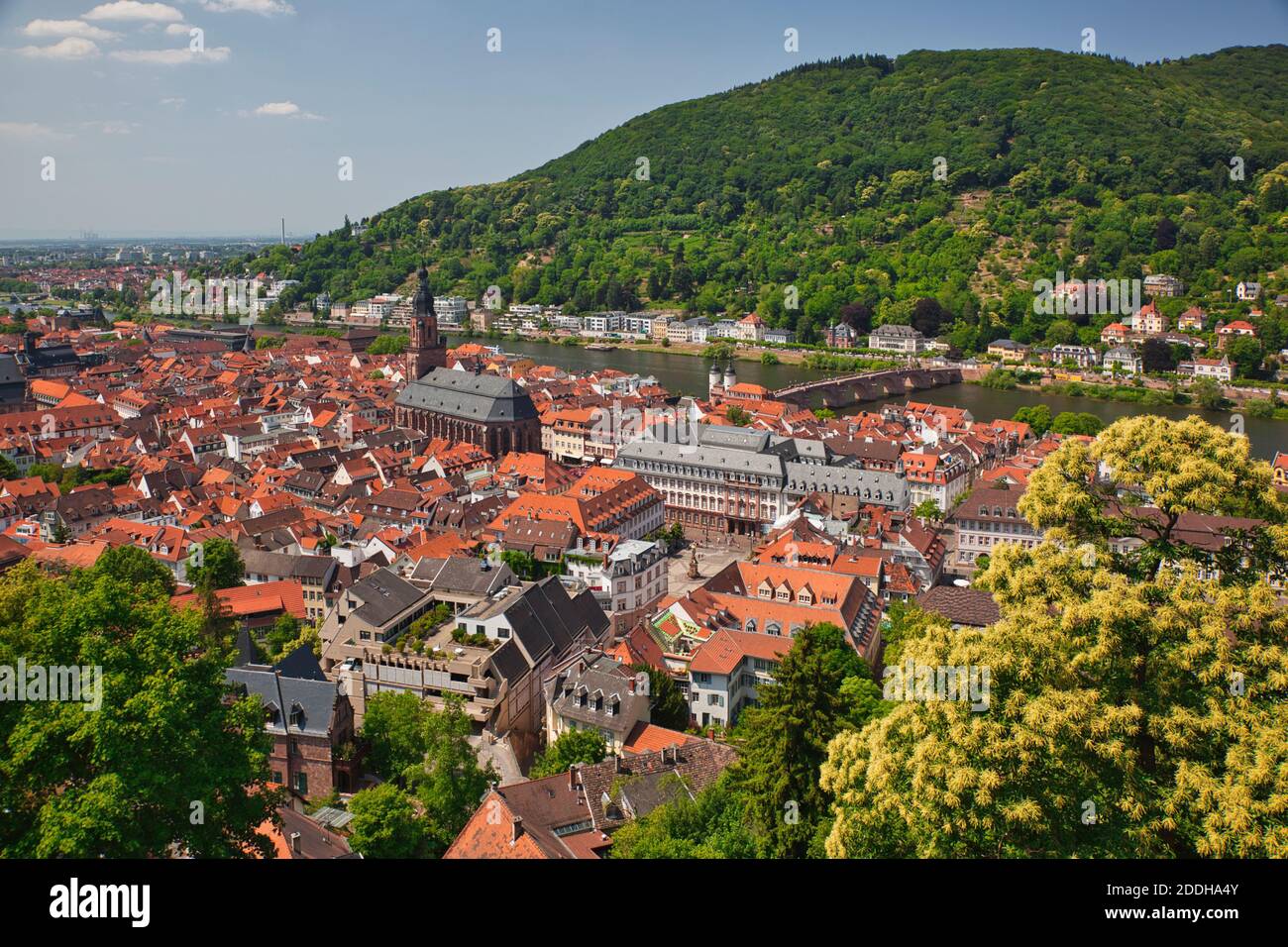 Una vista aerea dal vecchio castello del centro di Heidelberg nello stato di Baden-Württemberg, in Germania, che mostra edifici e tetti rossi dall'alto Foto Stock