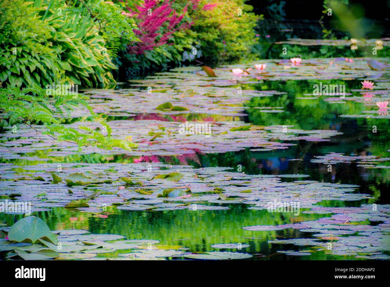 Les Jardins de Monet à Giverny - Giardino di Monet - Casa e giardini di giglio d'acqua dell'artista francese Claude Monet a Giverny, Francia Foto Stock