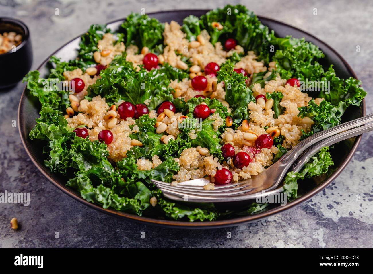 Insalata sana di kale crudo e quinoa con mirtillo rosso e pinoli. Fuoco selettivo. Foto Stock