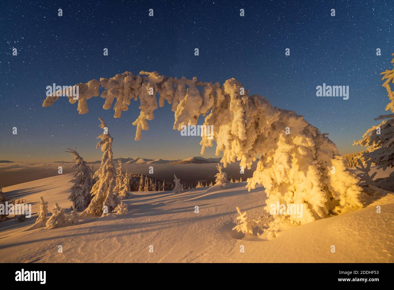 Fantastico paesaggio invernale incandescente da star light. Drammatica scena invernale con alberi innevati e la via lattea nel cielo notturno. Carpazi, l'Europa. Foto Stock