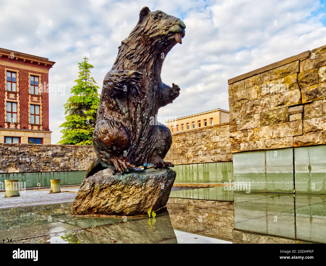 Prospettiva grandangolare alla piccola statua del castoro (circa 50 cm) Situato nel centro della città di Dabrowa Gornicza assomiglia un mostro enorme ora in piedi Foto Stock