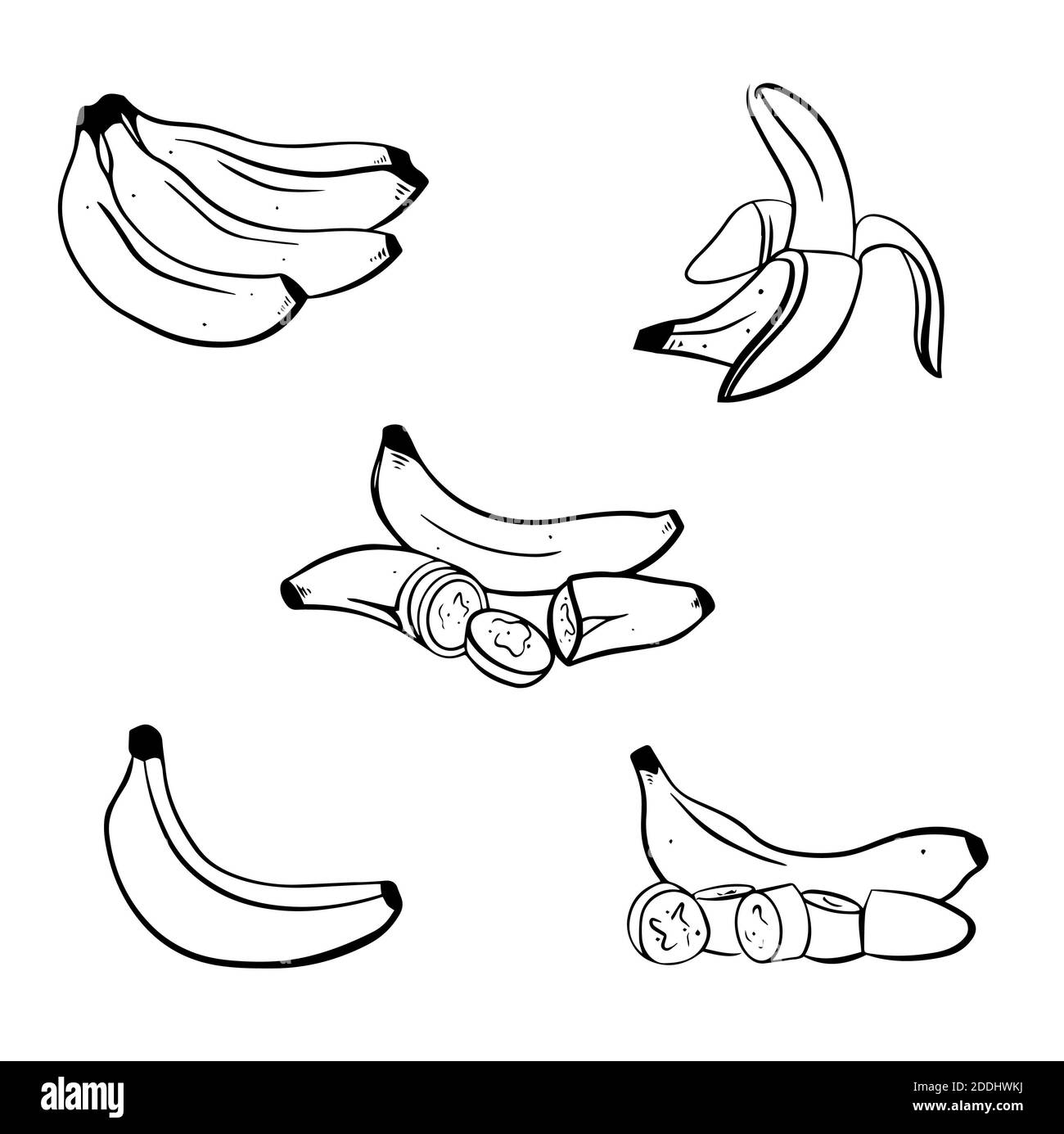 Illustrazione vettoriale a banana su sfondo bianco. Mazzetto isolato, a mano, a buccia di banana e pezzi tagliati a fette. Può essere utilizzato per etichette, poster, stampa, imballaggio Foto Stock