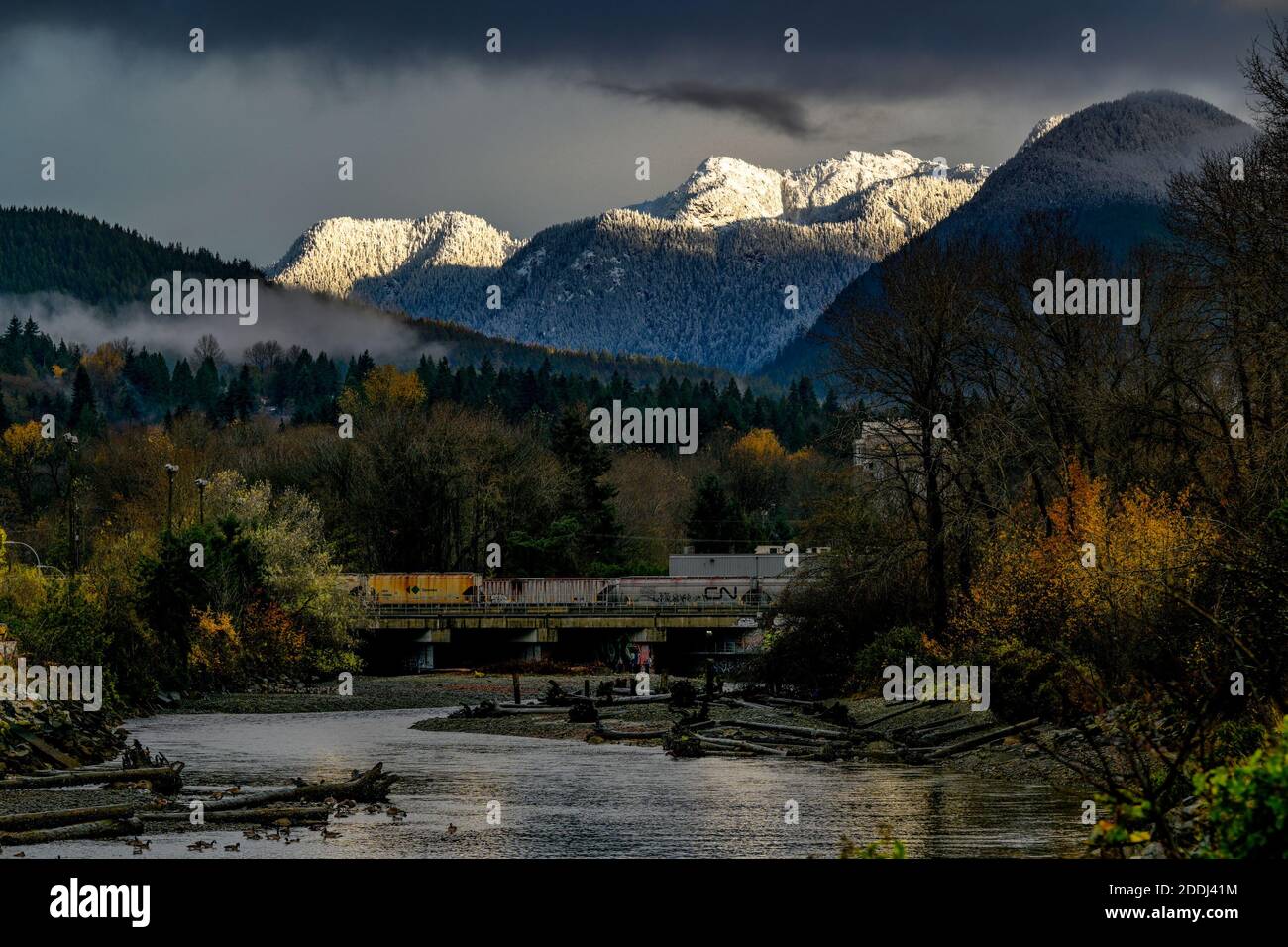 Estuary, Lynn Creek, North Vancouver, British Columbia, Canada Foto Stock