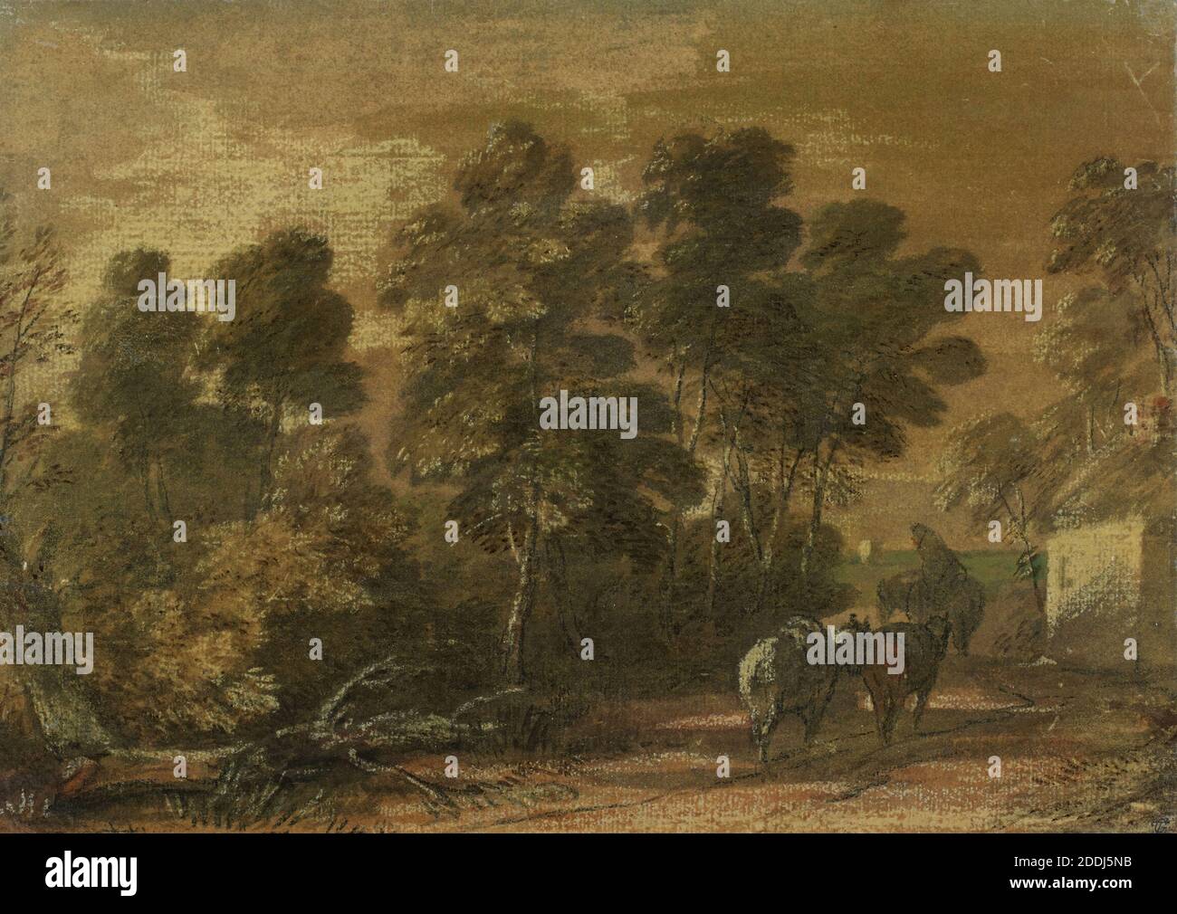 Paesaggio boscoso, Figura su Horseback e cavalli da corsa, 1771-72 Thomas Gainsborough, Paesaggio, Acquerello, Chalk, animale, Cavallo, Rurale Foto Stock