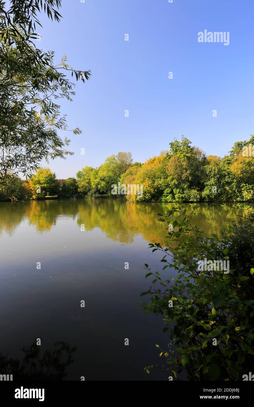 Vista estiva sul lago Stanborough Park, Welwyn Garden City, Hertfordshire, Inghilterra Foto Stock