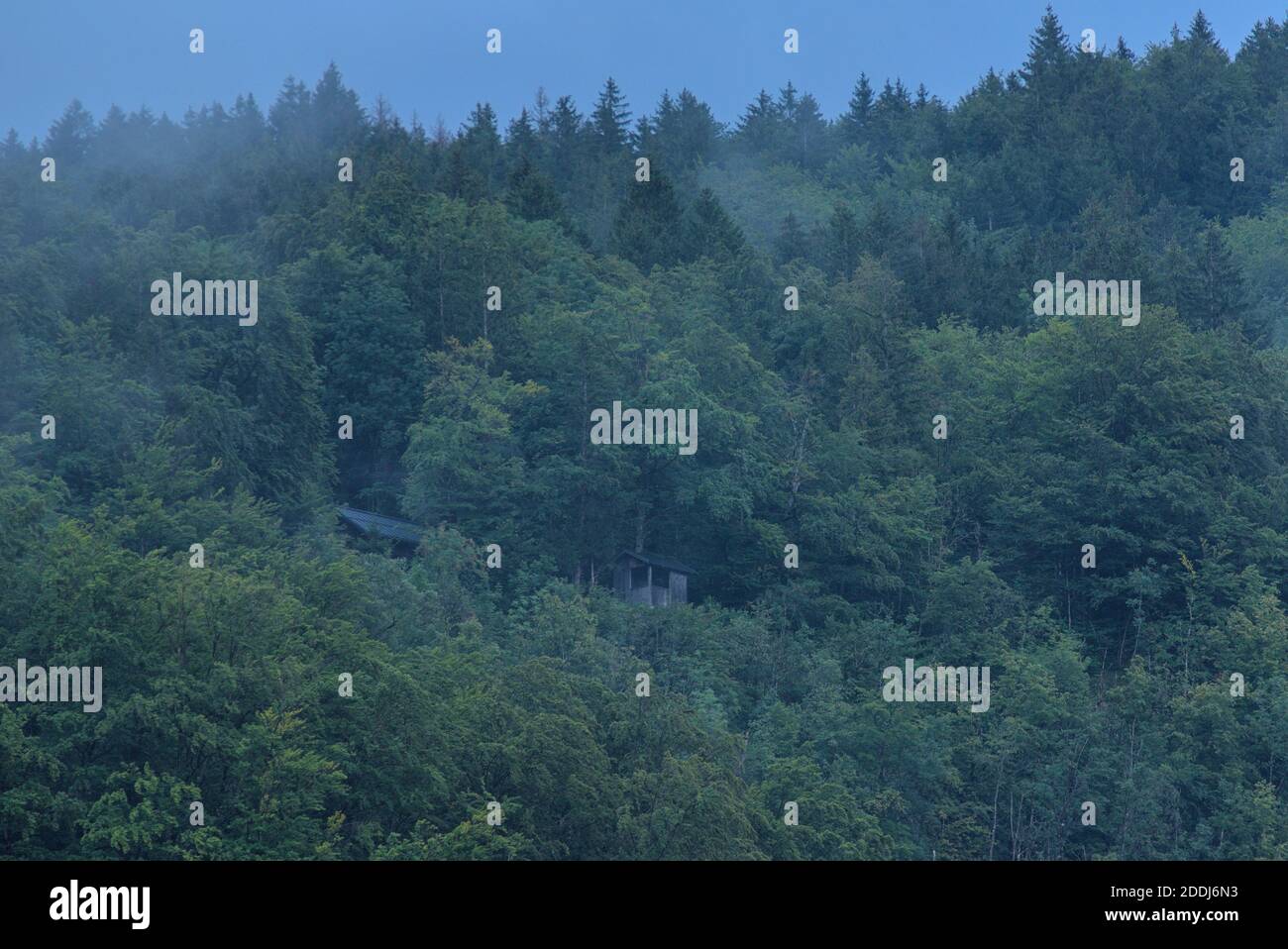 Versteckte Hütte und Haus im nebeligen Wald Foto Stock