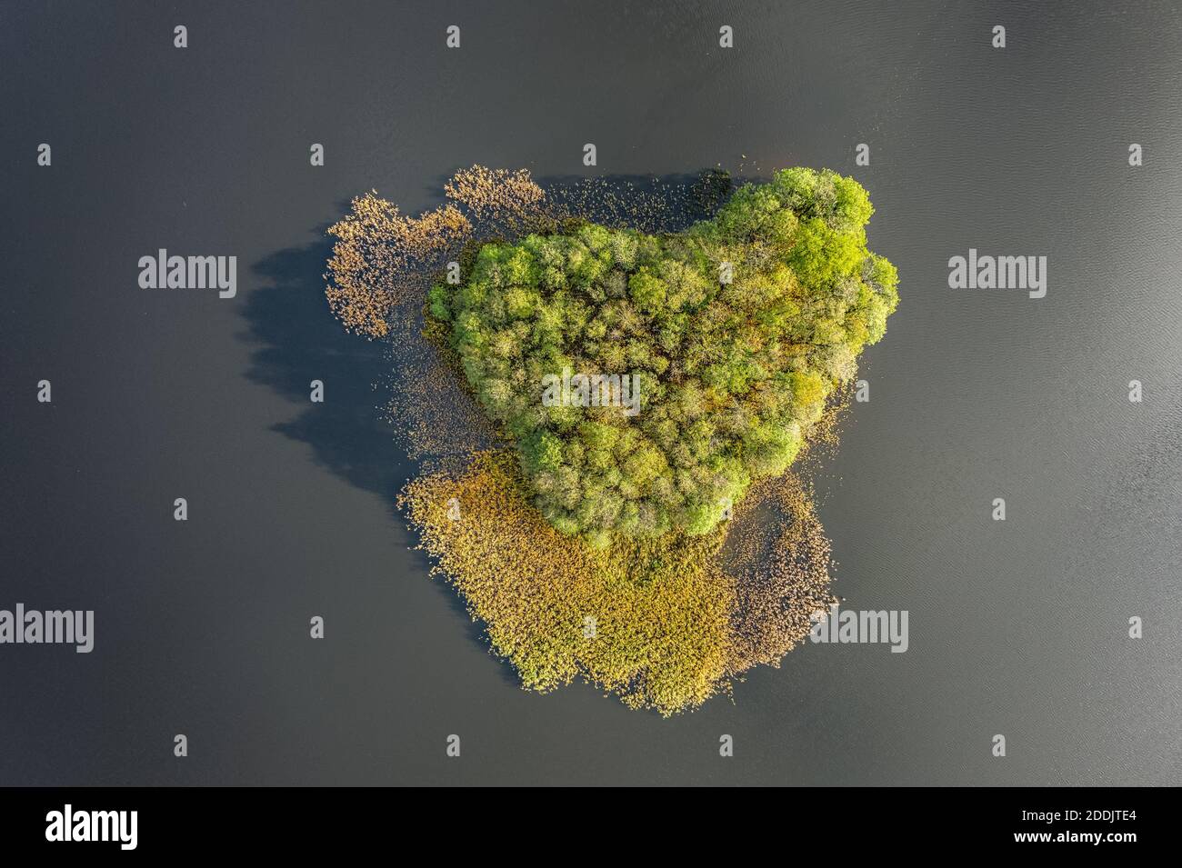 Vista aerea dall'alto verso il basso della piccola isola sul lago Foto Stock