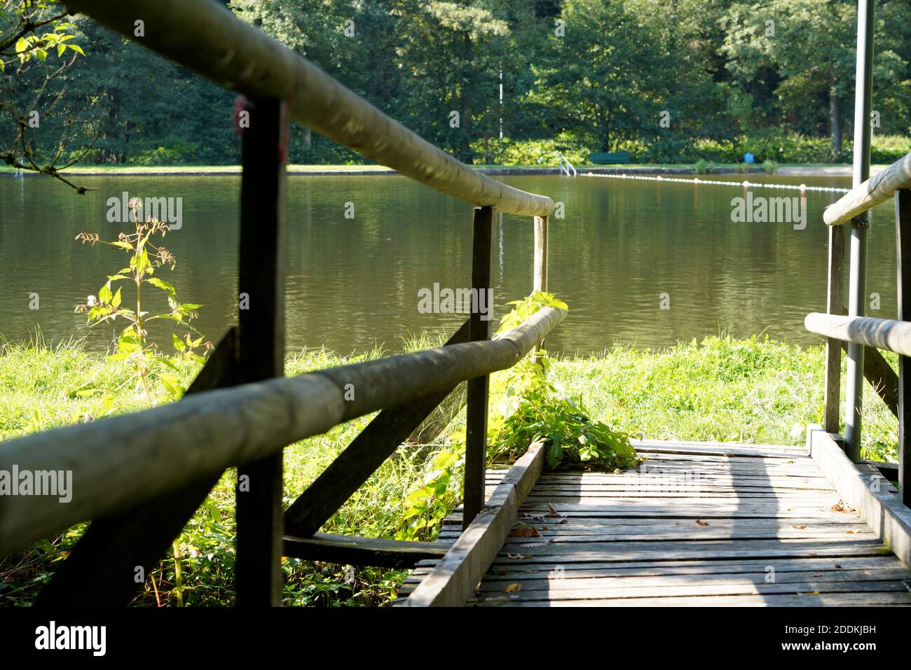 Un vecchio molo in legno che conduce al bellissimo lago circondato da green in un parco Foto Stock