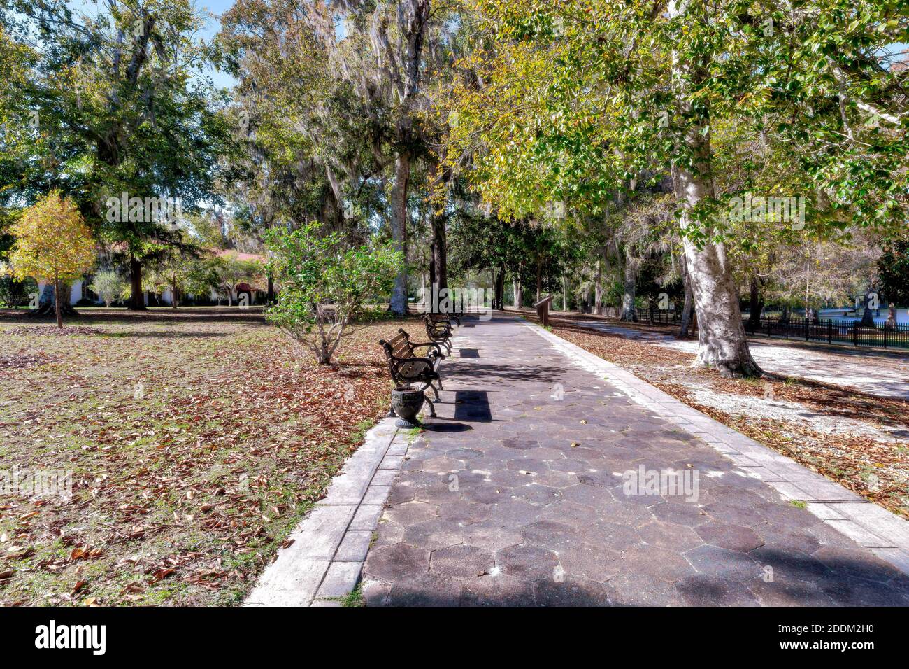 Passerella al parco statale di Wakulla Springs, Florida Foto Stock