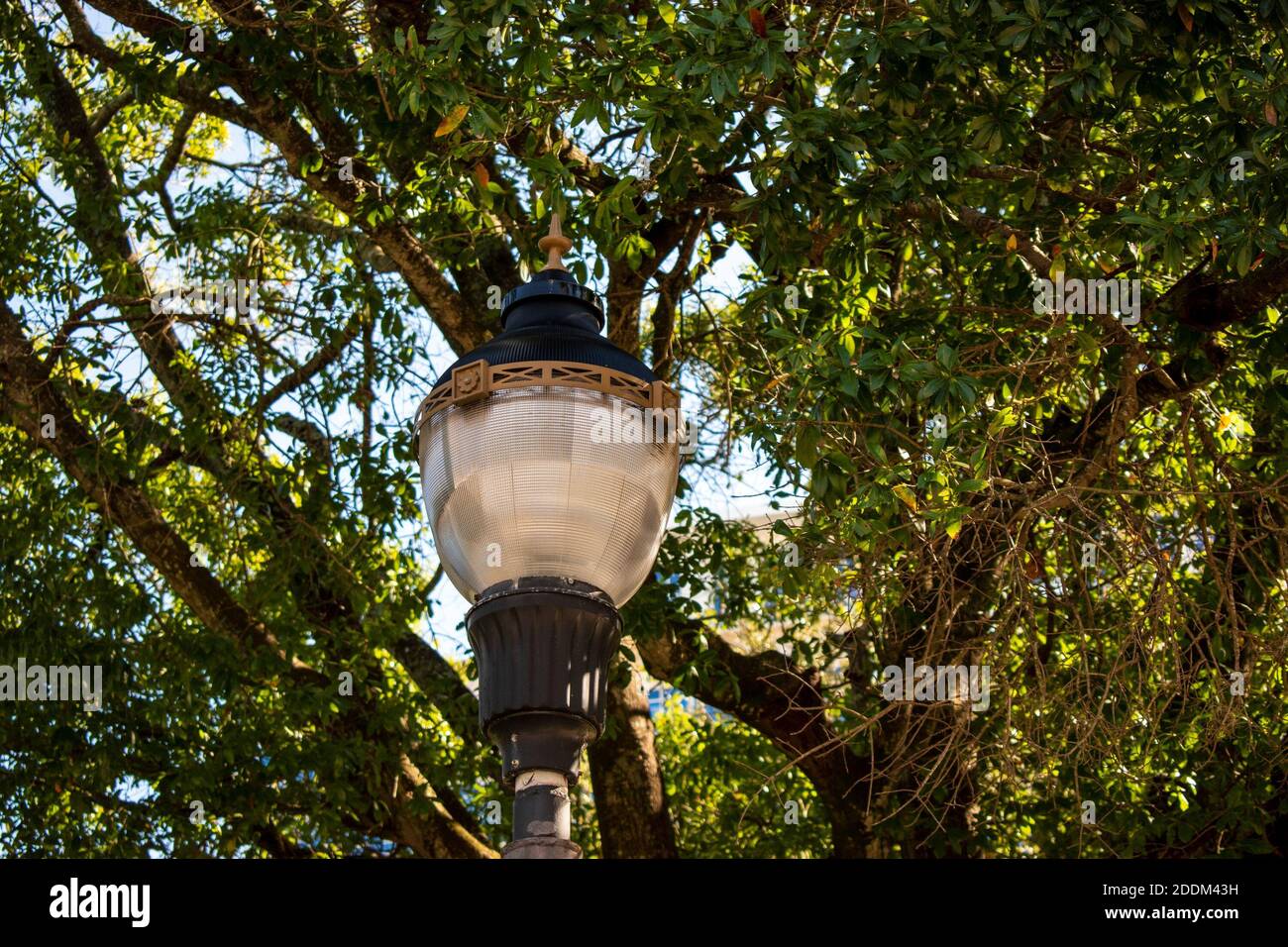 lampione color oro in una città antica al parco Foto Stock