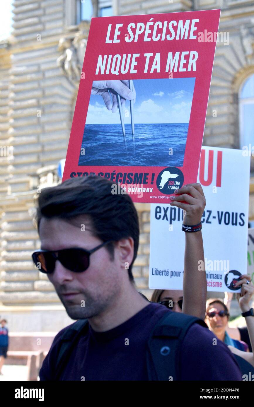 Manifesti durante il clima marcia che ha riunito quasi 5,000 persone a Strasburgo, Francia, il 21 settembre 2019. Questo incontro mira a chiedere al governo francese che vengano adottate misure concrete di fronte al cambiamento climatico. Foto di Nicolas Roses/ABACAPRESS.COM Foto Stock