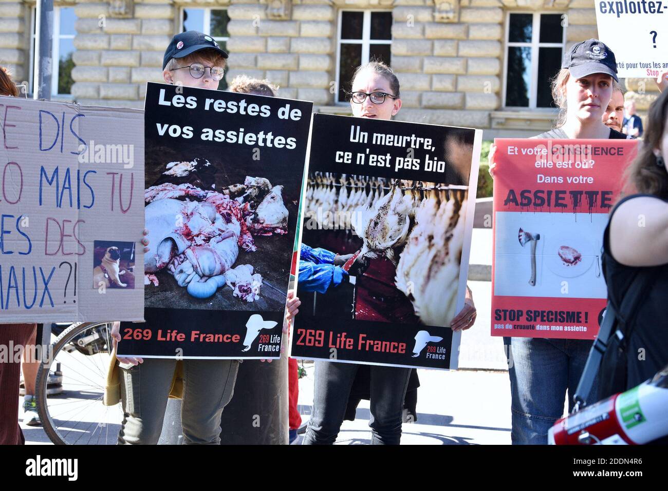 Manifesti durante il clima marcia che ha riunito quasi 5,000 persone a Strasburgo, Francia, il 21 settembre 2019. Questo incontro mira a chiedere al governo francese che vengano adottate misure concrete di fronte al cambiamento climatico. Foto di Nicolas Roses/ABACAPRESS.COM Foto Stock