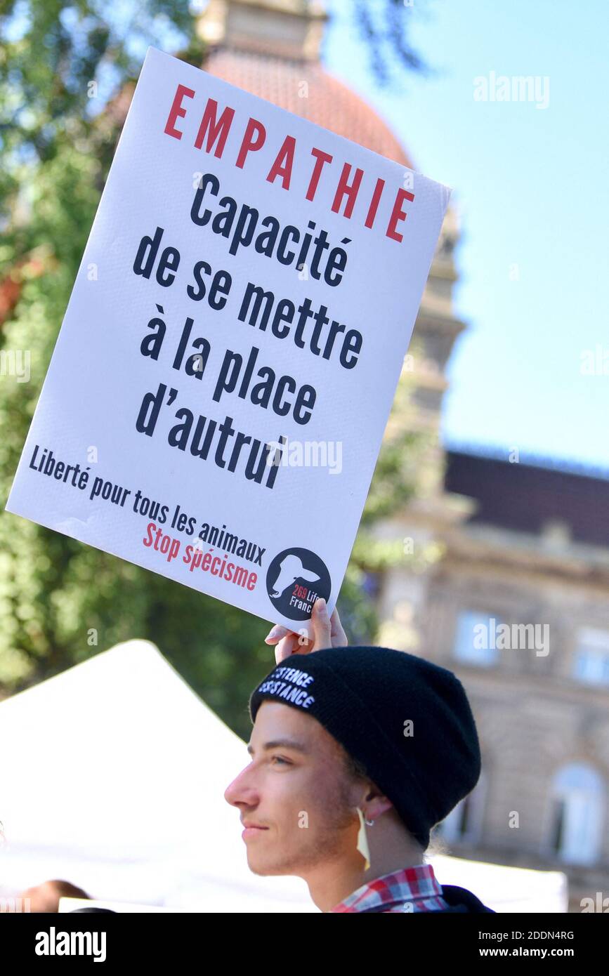 Manifesti durante il clima marcia che ha riunito quasi 5,000 persone a Strasburgo, Francia, il 21 settembre 2019. Questo incontro mira a chiedere al governo francese che vengano adottate misure concrete di fronte al cambiamento climatico. Foto di Nicolas Roses/ABACAPRESS.COM Foto Stock
