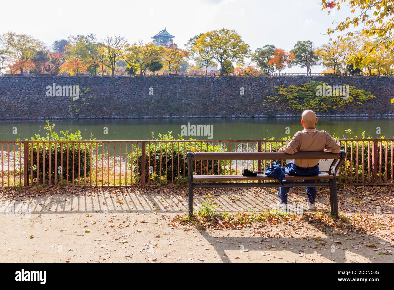 Stagione autunnale al Castello di Osaka in Giappone Foto Stock