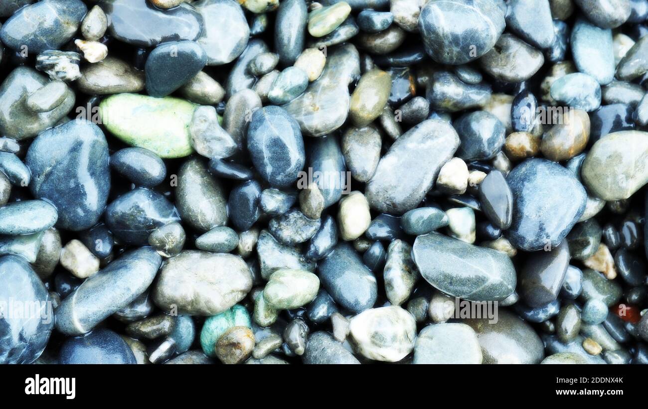 Piccole pietre bagnate su una tipica spiaggia neozelandese Foto Stock
