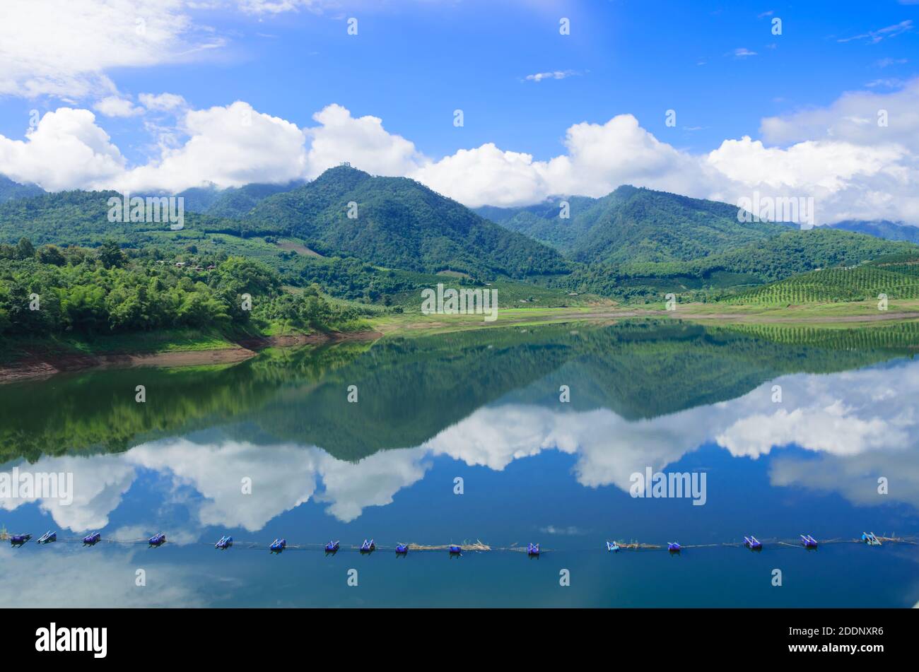 La bellezza della foresta di abbondanza e l'acqua pulita dentro diga Thailandia Foto Stock