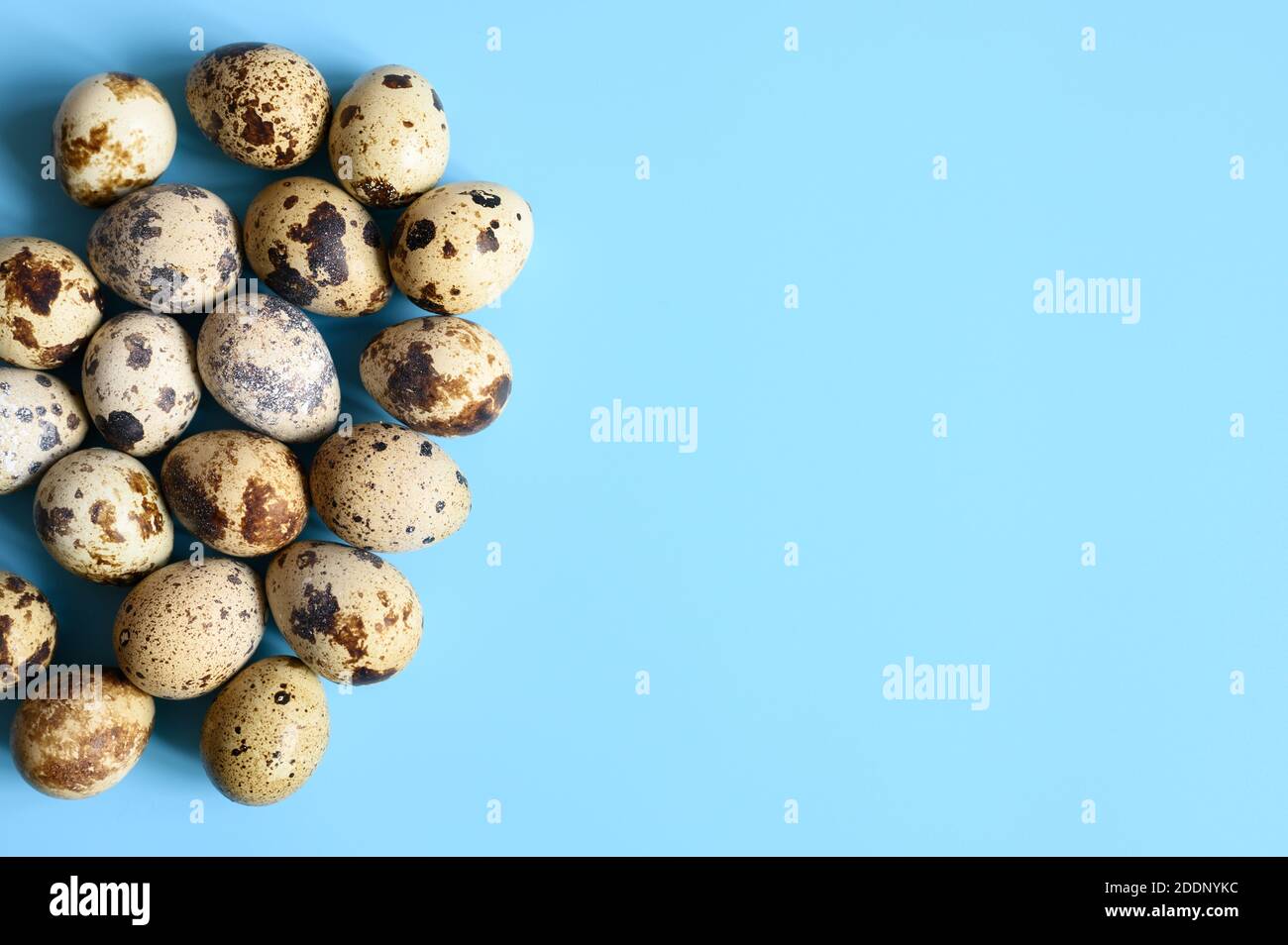mucchio di uova di quaglia su sfondo blu. spazio per il testo Foto Stock