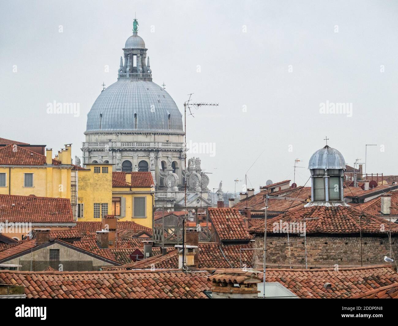 La cupola della Basilica di Santa Maria della Salute sopra i tetti - Venezia, Veneto, Italia Foto Stock