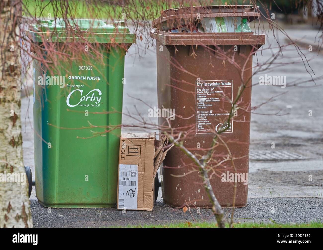 Bidone verde per rifiuti da giardino e bidone marrone per rifiuti riciclabili a secco su un marciapiede Corby, Inghilterra, in attesa di raccolta. Foto Stock