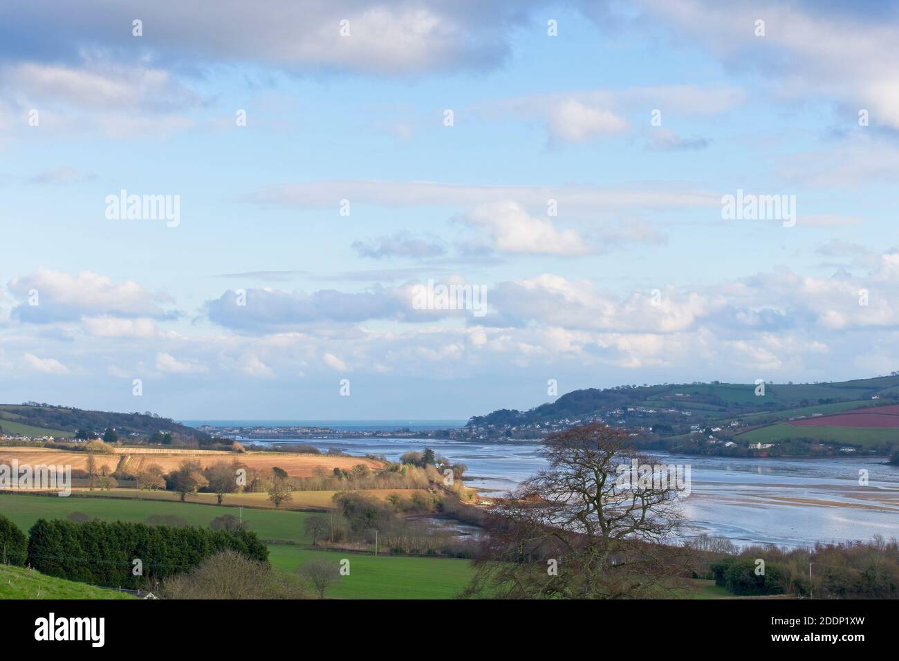 Guardando sull'estuario del Teign verso Shaldon, Devon, Inghilterra, Regno Unito. Foto Stock