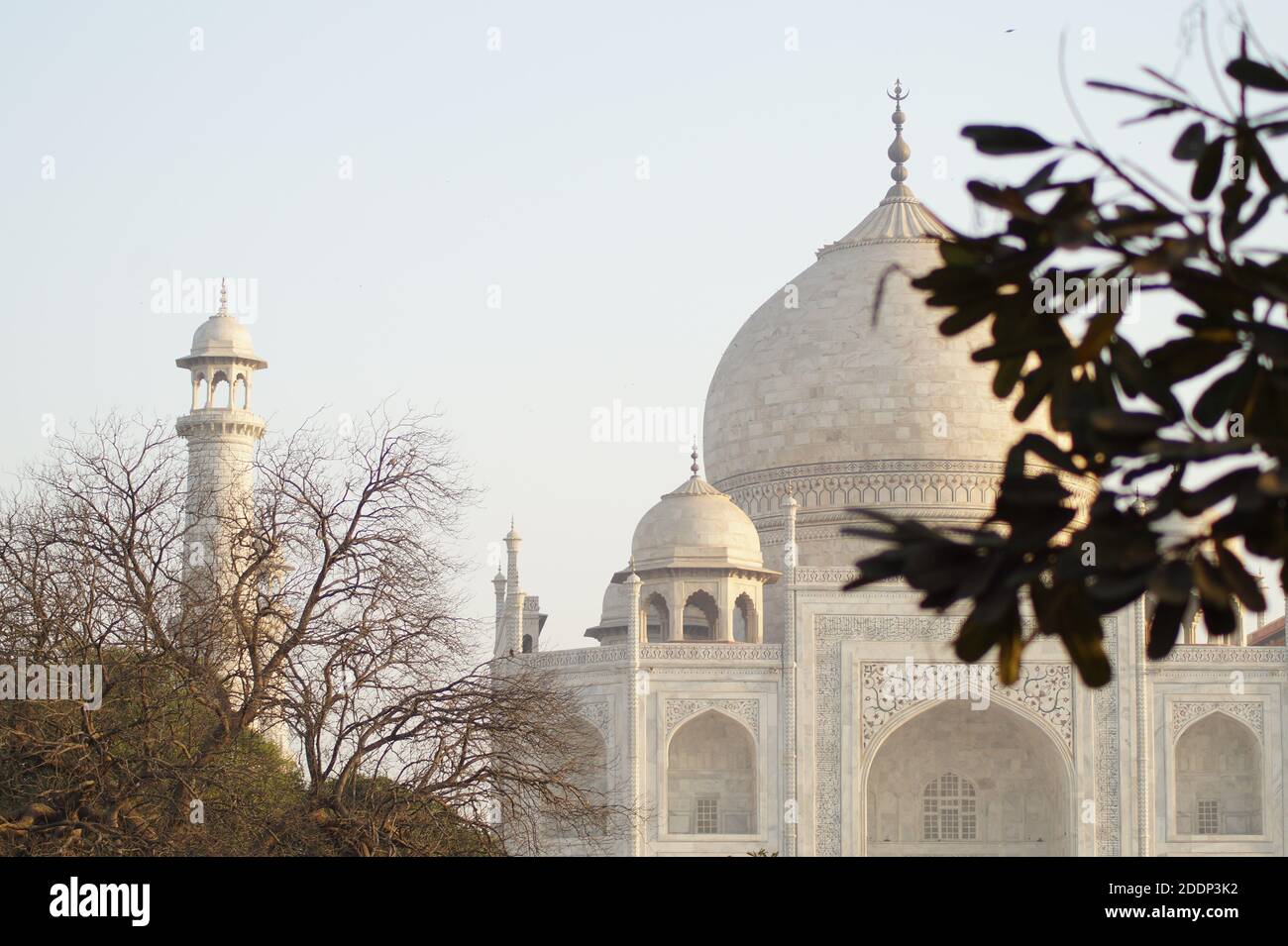 Taj Mahaj, Agra, India- meraviglia del mondo daaaaaaaaaaaaaaaaaaaaaaaaaaaaaaaaaaaaaaaaaaaaaaaaaaaaaaaaaaaaaaaaaaaaaaaaaaaaaaaaaaaaaaaaaaaaaaaaaaaaaaaaaaaaaaaaaaaaaaaaaaaaaaaaaaaaaaaaaaaaa Foto Stock