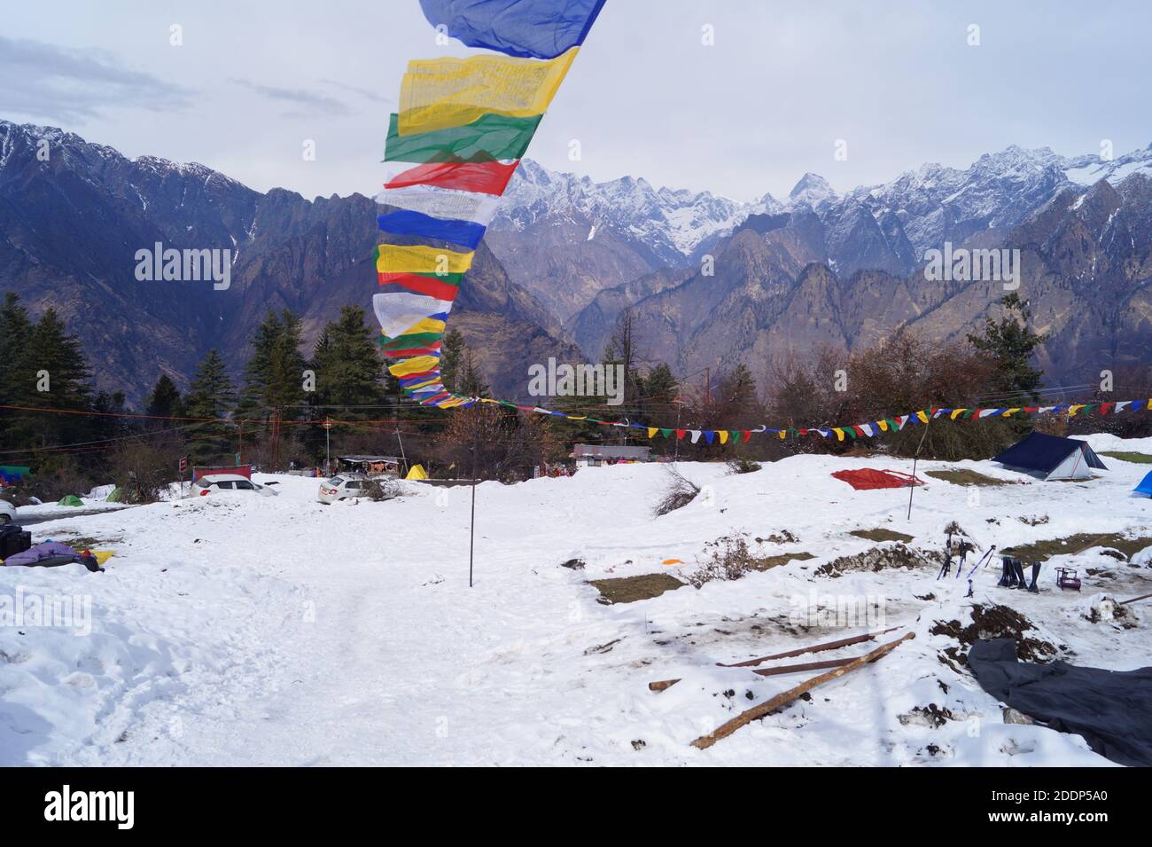 Bellezza della neve a 28000 piedi, Auli, Uttarakhand, India Foto Stock