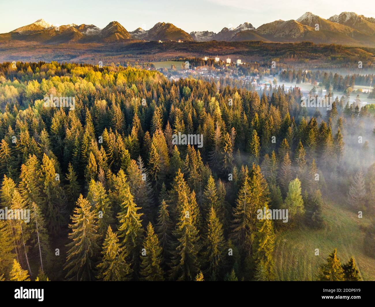 Bella mattina in High Tatra Mountains. Nebbia su caduta Foliage. Vista aerea drone. Foto Stock