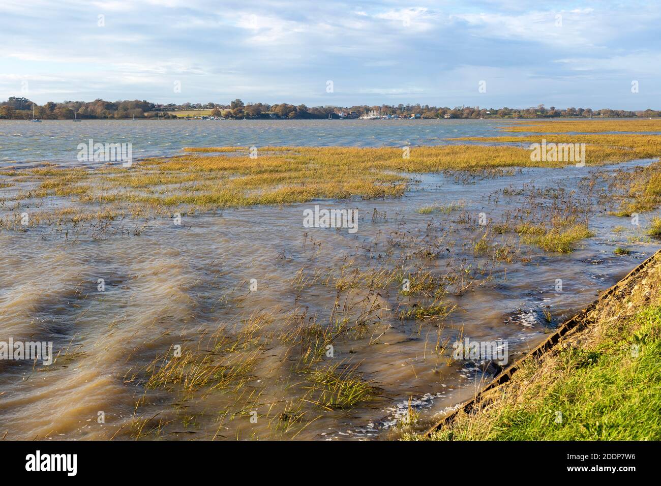 Alta marea livello dell'acqua che si affaccia sulla vegetazione delle paludi saline, fiume Deben, Suffolk, Inghilterra, Regno Unito Foto Stock