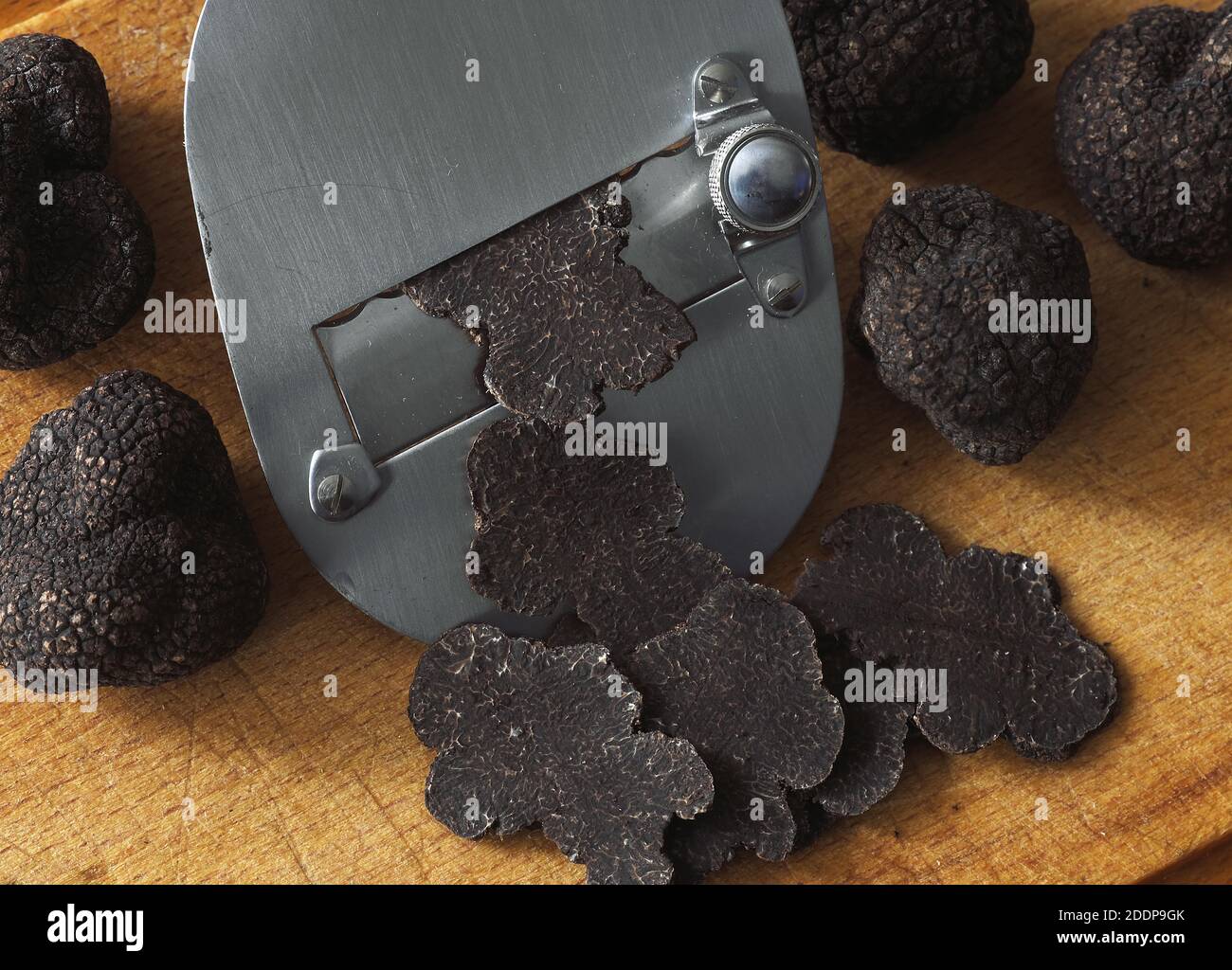 Il Perigord tartufo, tuber melanosporum, i funghi tagliati a fette sottili Foto Stock