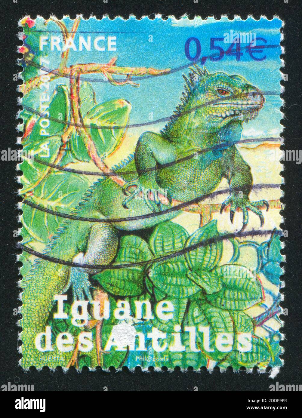 FRANCIA - CIRCA 2007: Francobollo stampato dalla Francia, mostra Endangered animali dipartimenti d'oltremare, circa 2007 Foto Stock