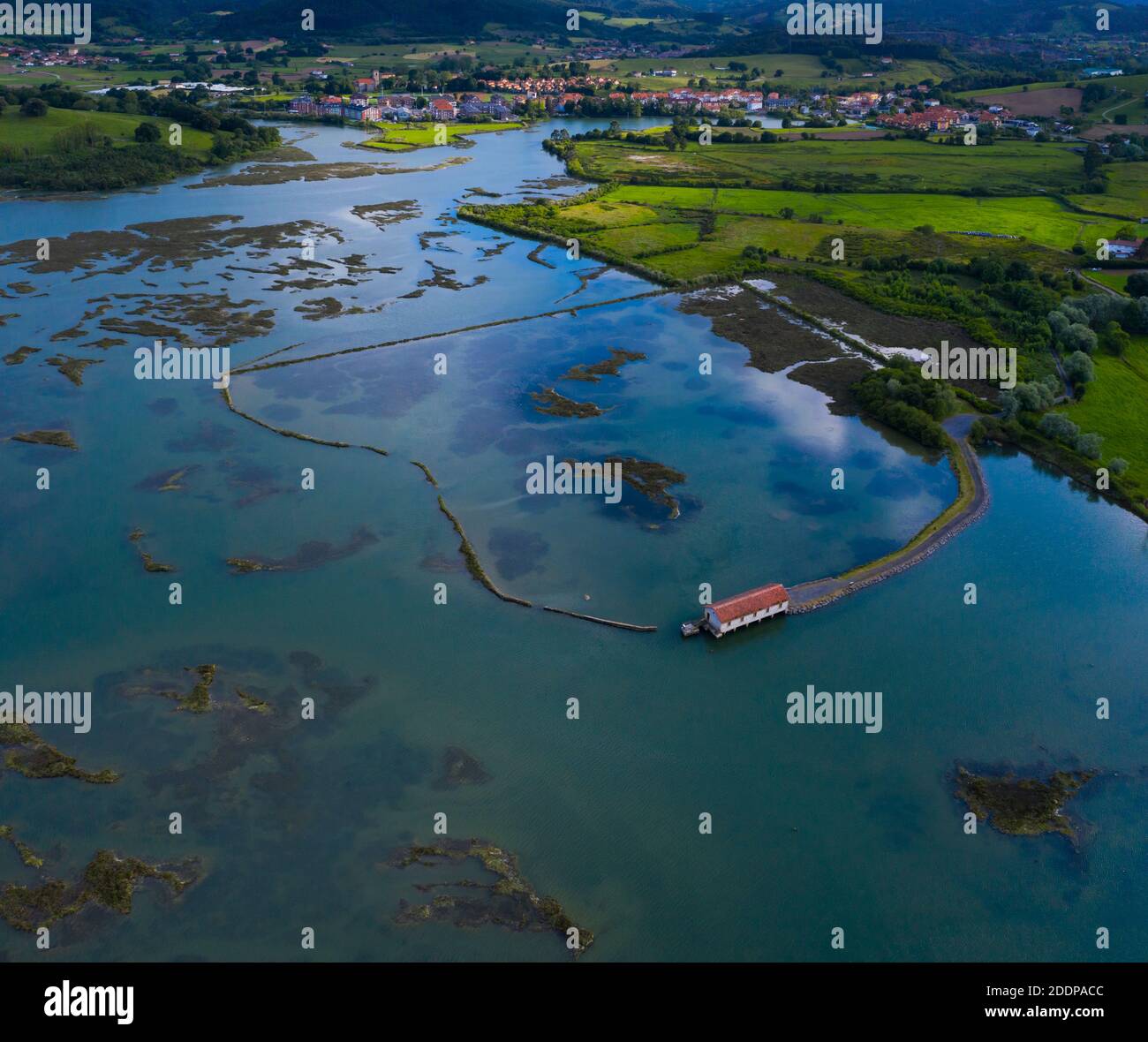 Marsh marea, MARISMA maresciano (MARISMA), bassa marea, Marismas de Santoña, Parco Naturale Victoria y Joyel, Cantabria, Spagna, Europa Foto Stock