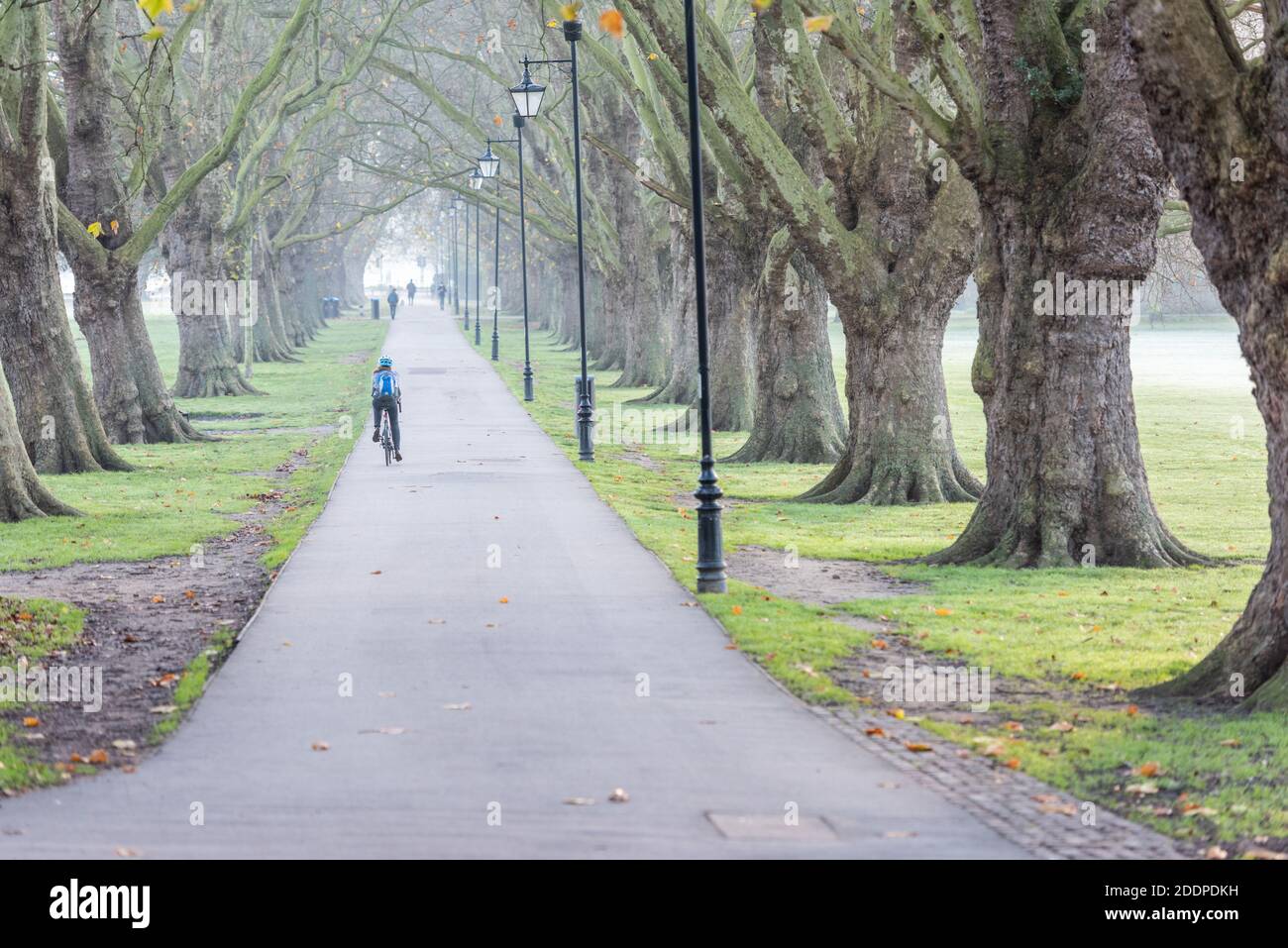 Cambridge, Regno Unito. 26 Nov 2020. La gente fuori e circa nella nebbia su una mattina gelata di tardo autunno. Le temperature sono scese a quasi gelare durante la notte e il tempo più freddo è previsto nei prossimi giorni. Credit: Julian Eales/Alamy Live News Foto Stock